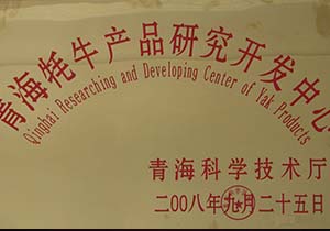 &#20061;&#28216;&#23448;&#26041;&#31449;&#32593;&#39029;&#29256;&#45;&#20061;&#28216;&#40;&#20013;&#22269;&#41;